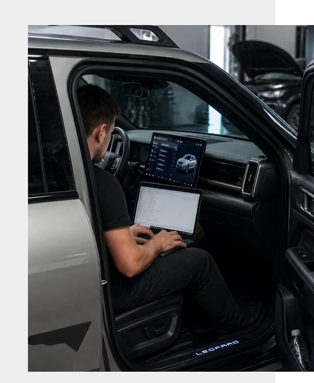 Русификация BYD Leopard 3 в Гатчине по цене от 20449 р. | ФастМобиль-Гтч